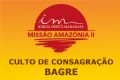 Missão Amazônia: Chegada à cidade de Bagre - PA - galerias/3125/thumbs/thumb_IMG_59.jpg