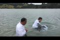 Batismo em Auckland - Nova Zelândia - galerias/3355/thumbs/thumb_IMG_04.jpg