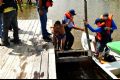 5ª Missão Amazônia - Dias 6 e 7 - galerias/4486/thumbs/thumb_47.jpg