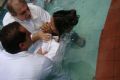 Culto de Batismo no Maanaim do Magarça, na Zona Oeste do Rio de Janeiro. - galerias/493/thumbs/thumb_DSC07307_resized.jpg