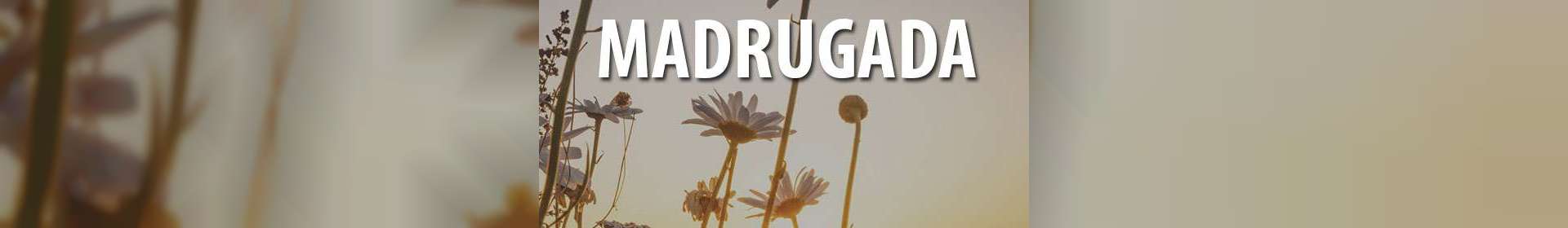 Culto Madrugada exibido em 12/02/2021